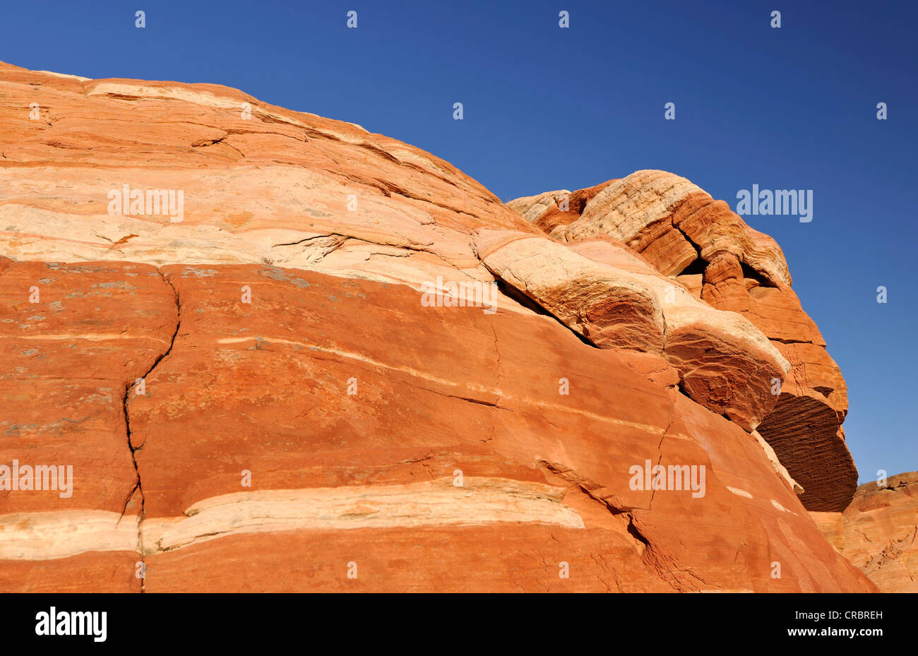 Le Pecore formazione di roccia, l'onda di nastrare ed eroso azteca rocce di arenaria, la Valle del Fuoco del parco statale, Nevada Foto Stock