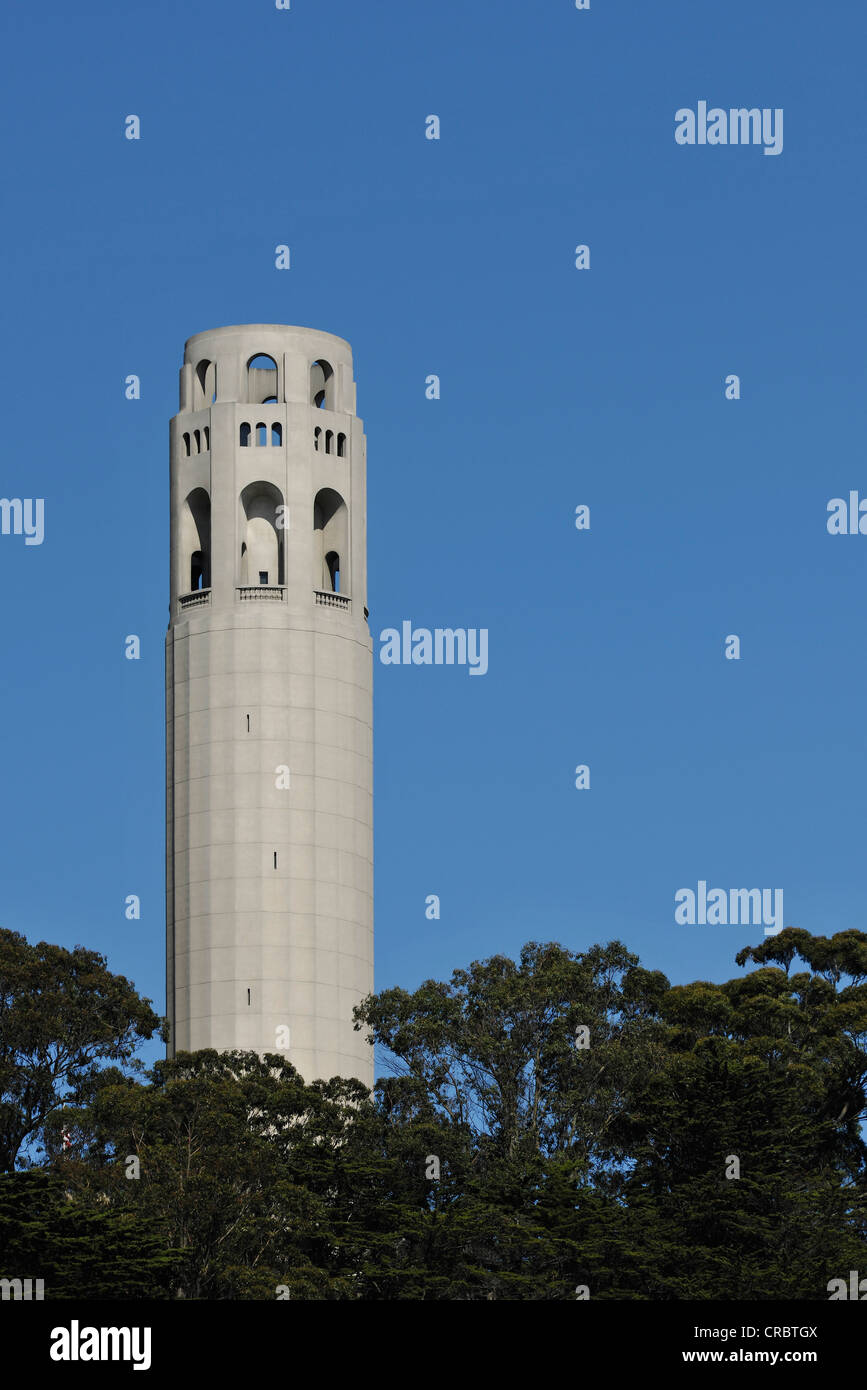 Coit Tower, Telegraph Hill, San Francisco, California, Stati Uniti d'America, PublicGround Foto Stock