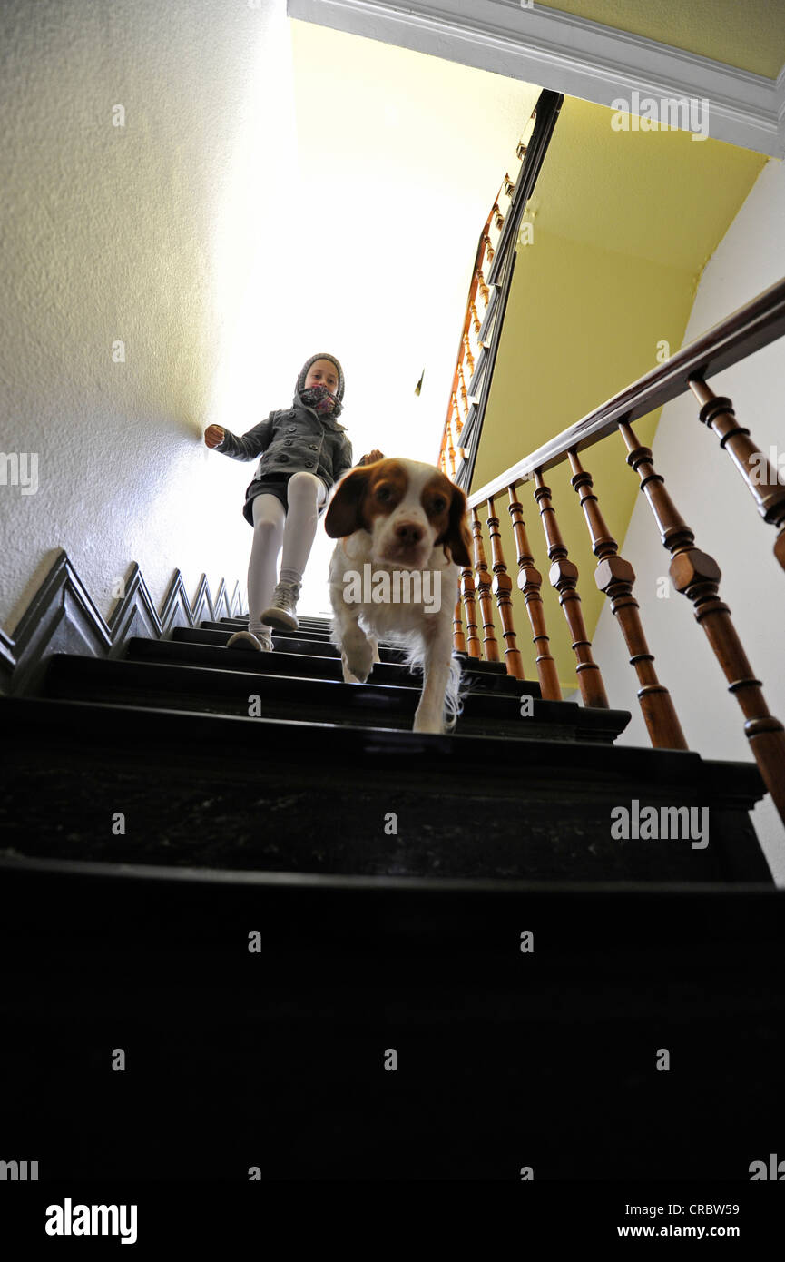 La ragazza e il cane a camminare al piano di sotto, la scala Foto Stock