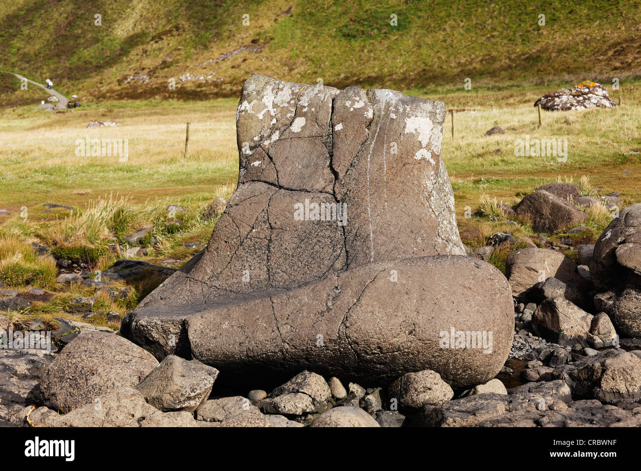 Il gigante di boot, Giant's Causeway Causeway Coast, Antrim, Irlanda del Nord, Regno Unito, Europa Foto Stock