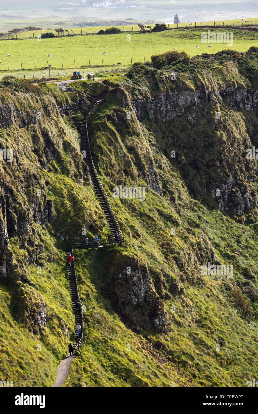 Il pastore la procedura, Giant's Causeway Causeway Coast, County Antrim, Irlanda del Nord, Regno Unito, Europa Foto Stock