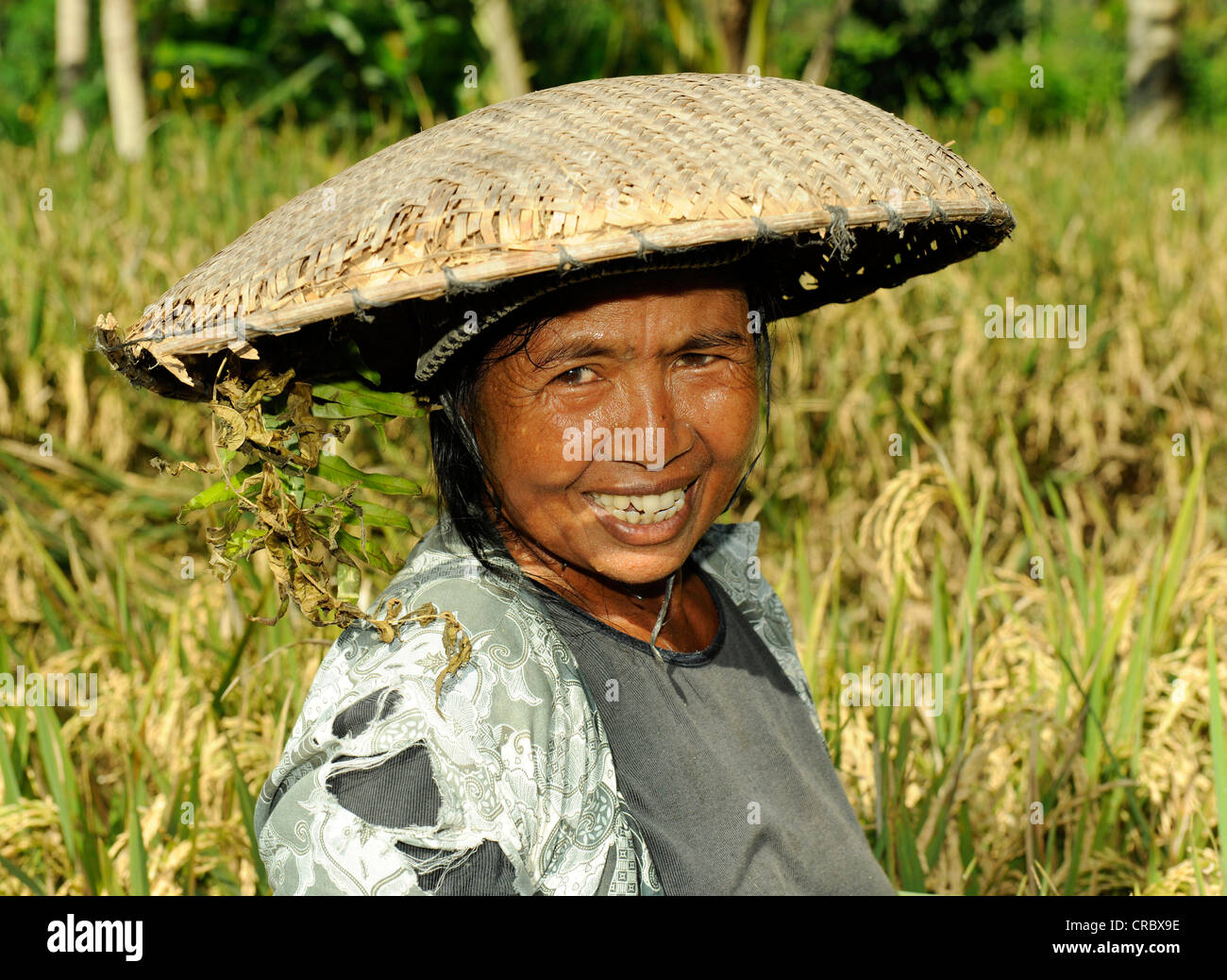 Donna indonesiana indossando un tradizionale cappello di paglia, Ubud, Bali, Indonesia, sud-est asiatico Foto Stock