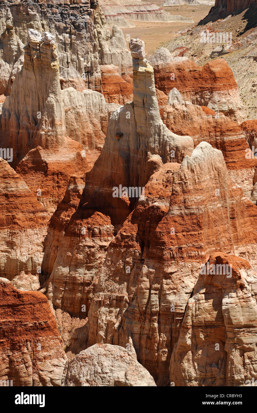 Hoodoos eroso e formazioni rocciose nella miniera di carbone di canyon colorato da minerali, miniera di carbone Mesa, Deserto Dipinto Foto Stock