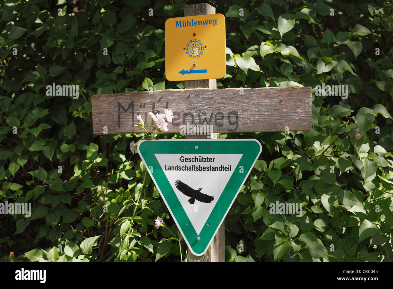 Segno per il sentiero Muehlenweg, Schwabsoien, Pfaffenwinkel, Alta Baviera, Baviera, Germania, Europa PublicGround Foto Stock