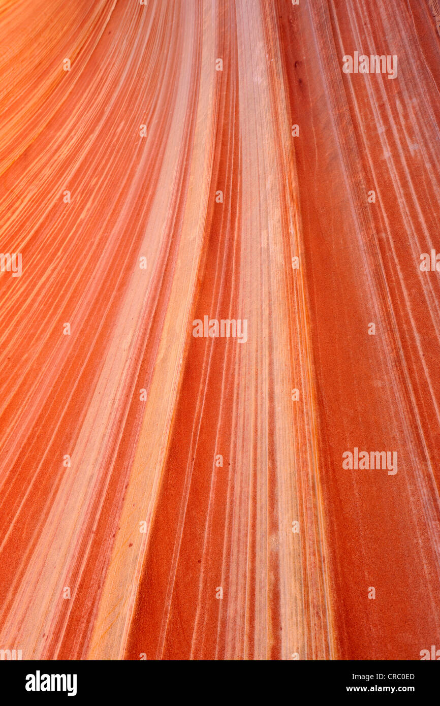 Vista dettagliata del tipico degli anelli di Liesegang, strisce, Wave roccia arenaria della formazione, un ondata di eroso arenaria Navajo, Nord Foto Stock