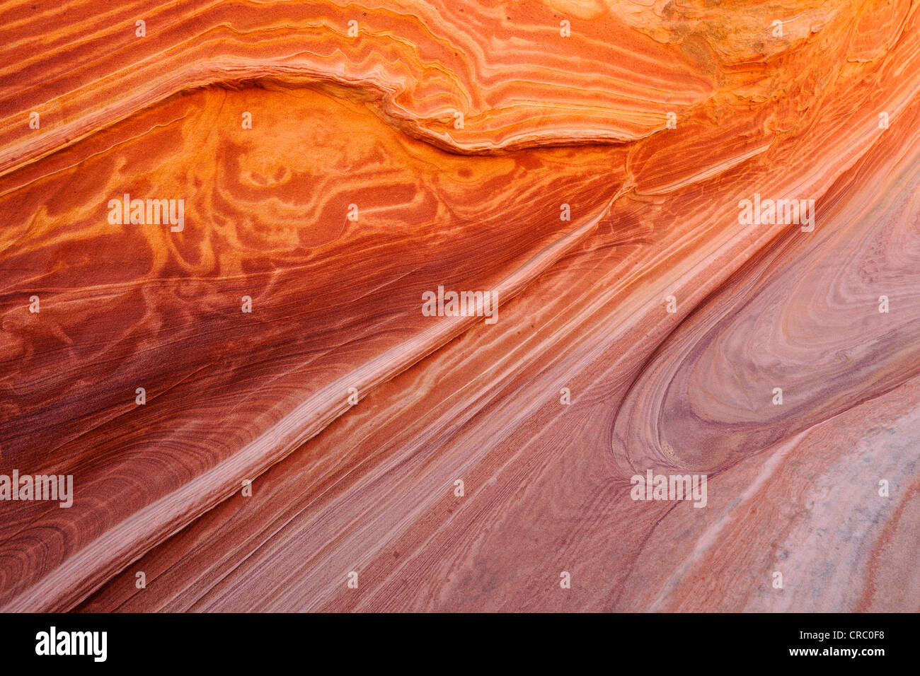 Vista dettagliata del tipico degli anelli di Liesegang, strisce, Wave roccia arenaria della formazione, un ondata di eroso arenaria Navajo, Nord Foto Stock