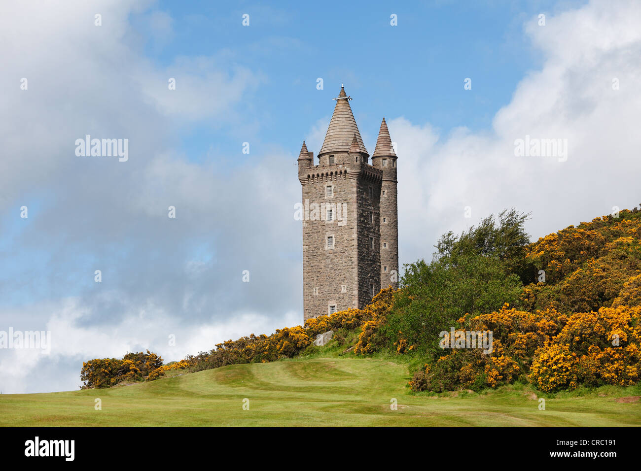 Scrabo Tower, Newtownards, County Down, Irlanda del Nord, in Irlanda, Regno Unito, Europa, PublicGround Foto Stock