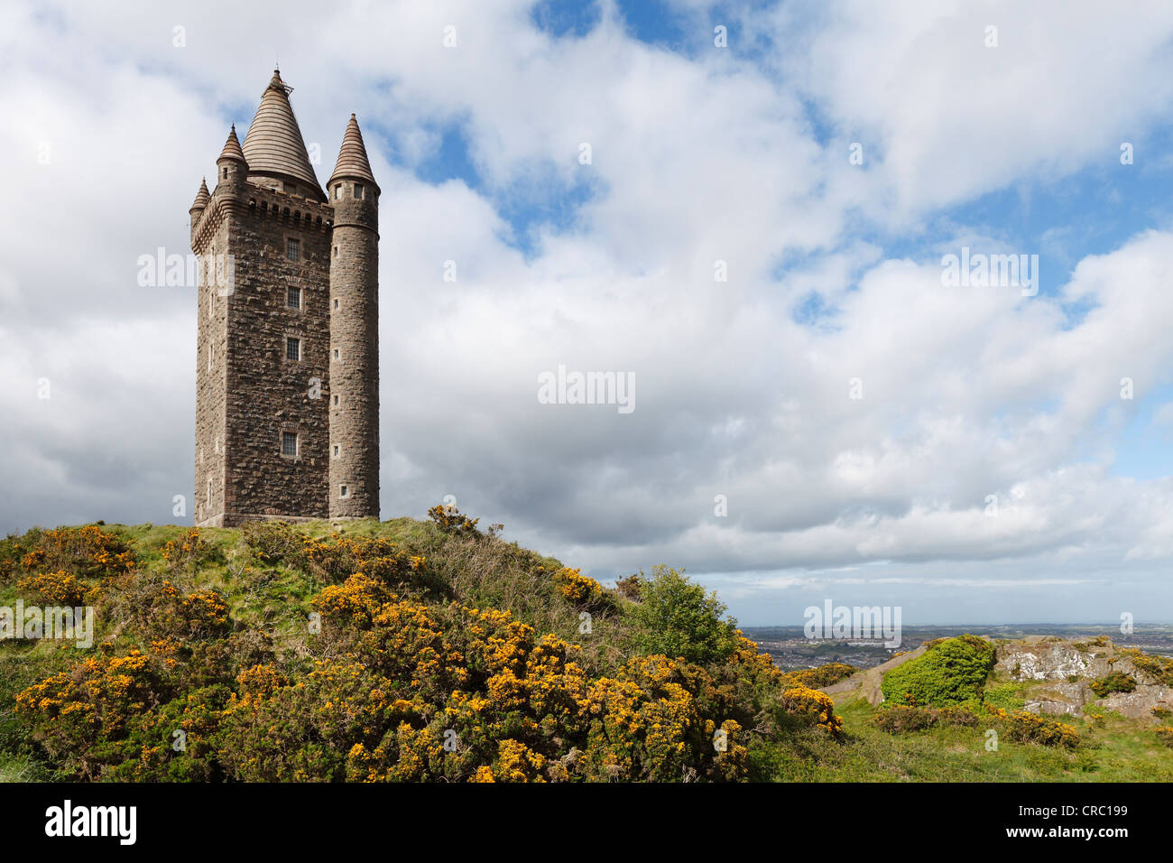 Scrabo Tower, Newtownards, County Down, Irlanda del Nord, in Irlanda, Regno Unito, Europa, PublicGround Foto Stock