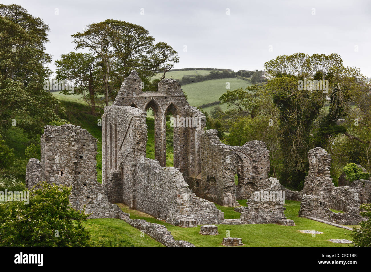 Rovine di Inch Abbey, Downpatrick, County Down, Irlanda del Nord, in Irlanda, Regno Unito, Europa, PublicGround Foto Stock