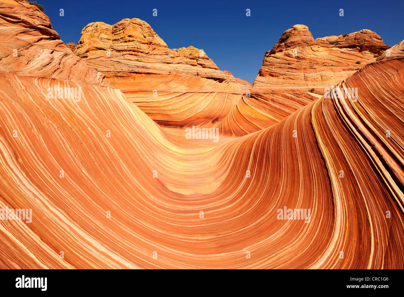 L'Onda, nastrati eroso Navajo rocce di arenaria con bande Liesegang, Liesegangen anelli o anelli di Liesegang, North Coyote Buttes, Foto Stock