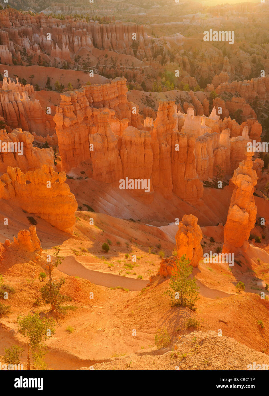 Formazioni rocciose e le hoodoos, il Papa e Thor il martello, gli orari di alba e tramonto punto, Parco Nazionale di Bryce Canyon, Utah Foto Stock