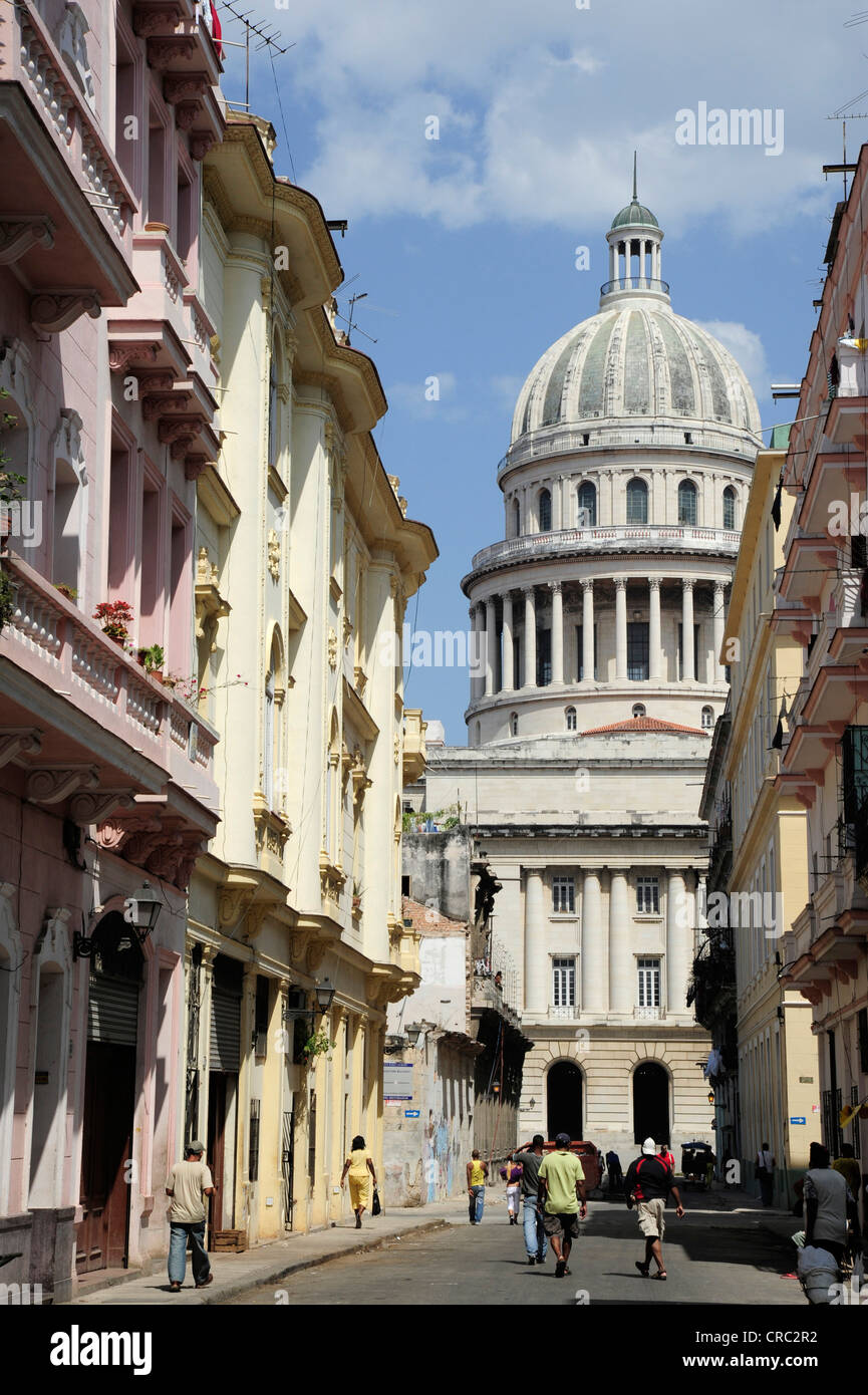 Strada che conduce al Capitolio Nacional edificio, costruito in stile neo-classico, centro città dell Avana, Centro Habana, Cuba Foto Stock