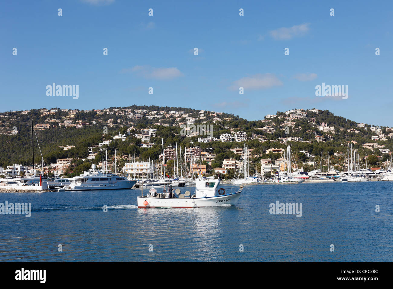 Barca da pesca, Porto d'Andratx harbor, Maiorca, Maiorca, isole Baleari, Spagna, Europa Foto Stock