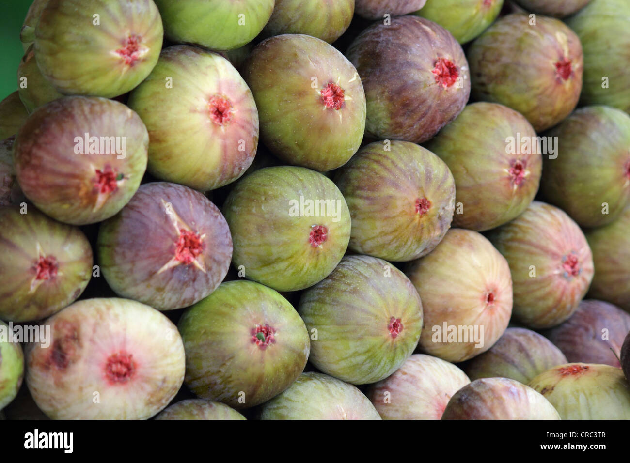 Comune Fig (Ficus carica) Frutta Foto Stock