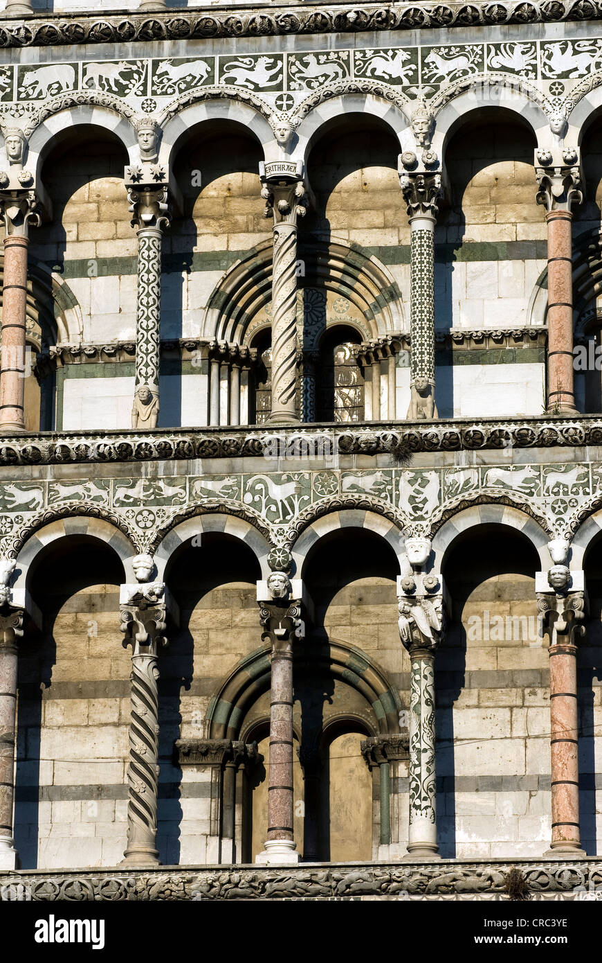 Chiesa di San Michele in Foro. Dettaglio della facciata. Lucca, Toscana, Italia Foto Stock
