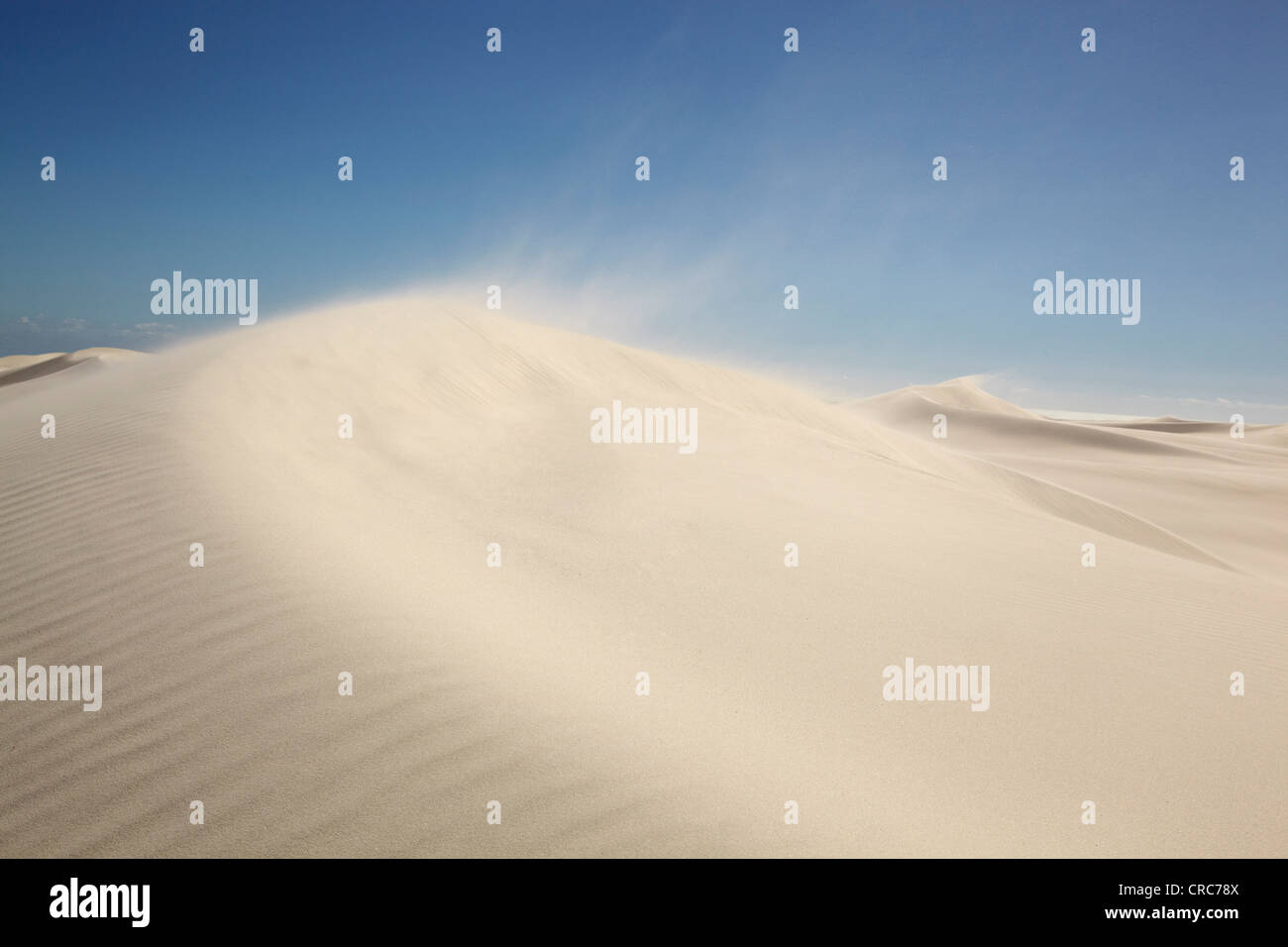 Il vento soffia sabbia sulle dune Foto Stock