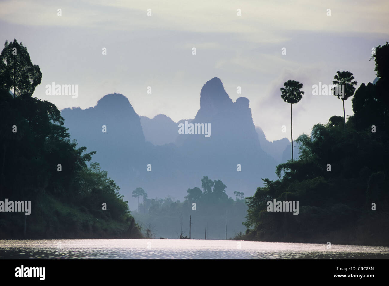 Khao Sok National Park, Thailandia. Foto Stock