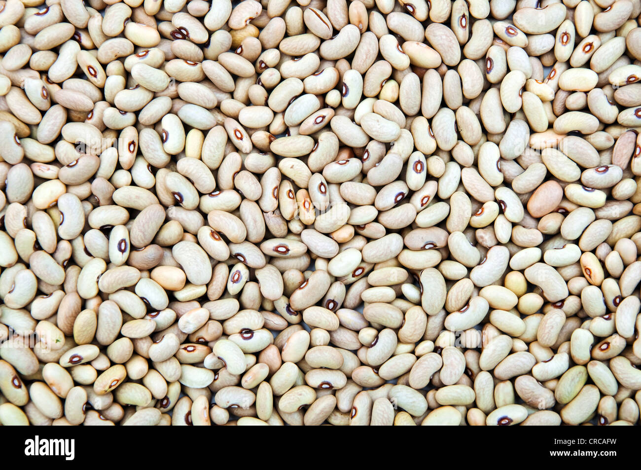 Chiudere l immagine di un fagioli kidney pila, cibo organico dello sfondo. Foto Stock