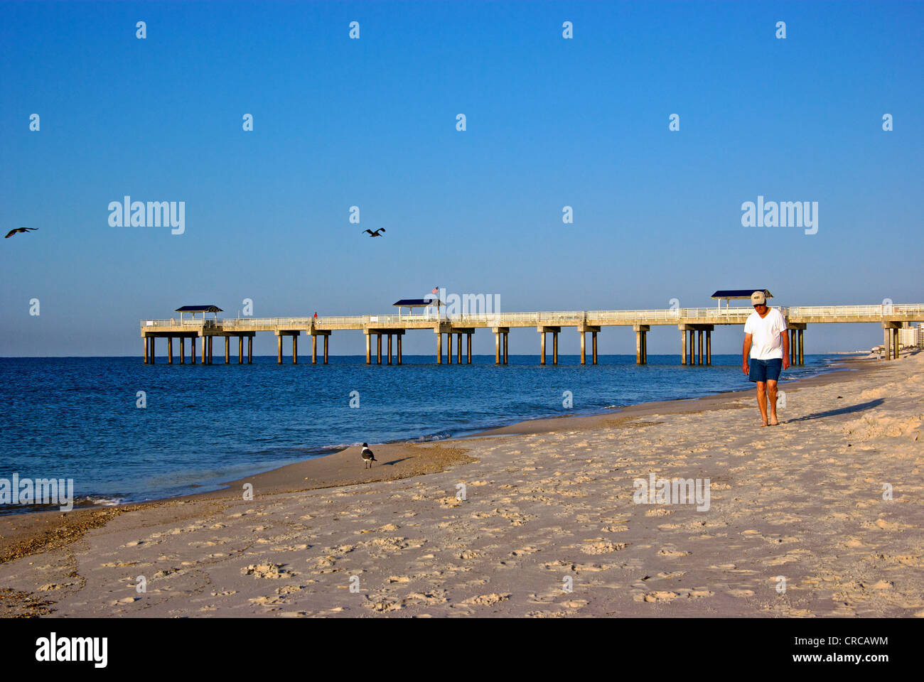 Uomo che cammina con sabbia bianca e litorale Orange Beach Gulf Shores Alabama resort area turismo Foto Stock