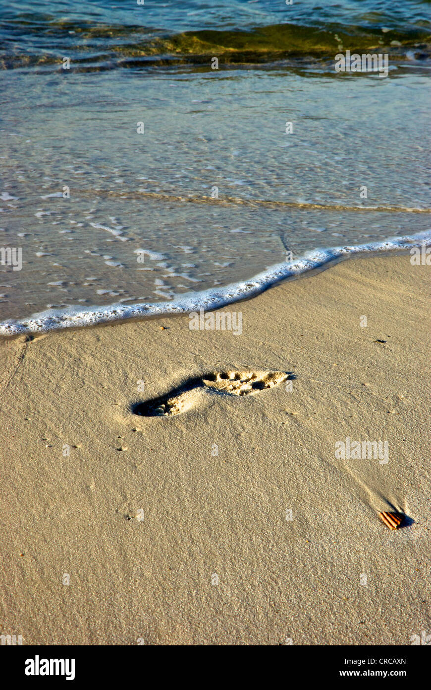 Ingombro a grana fine sabbia bordo costa Orange Beach Gulf Shores Alabama Foto Stock
