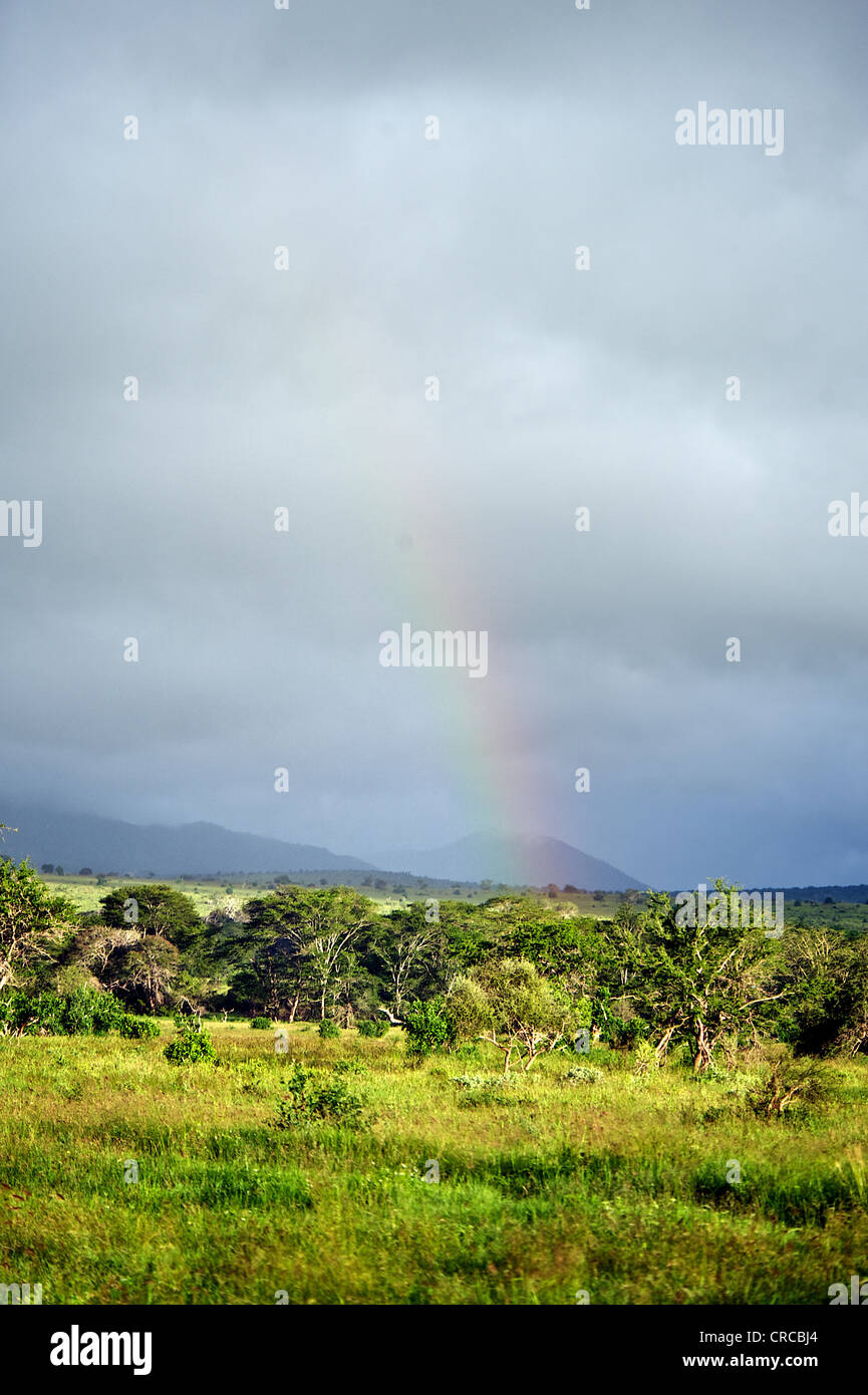 Rainbow nel paesaggio del Kenya dopo la pioggia Foto Stock