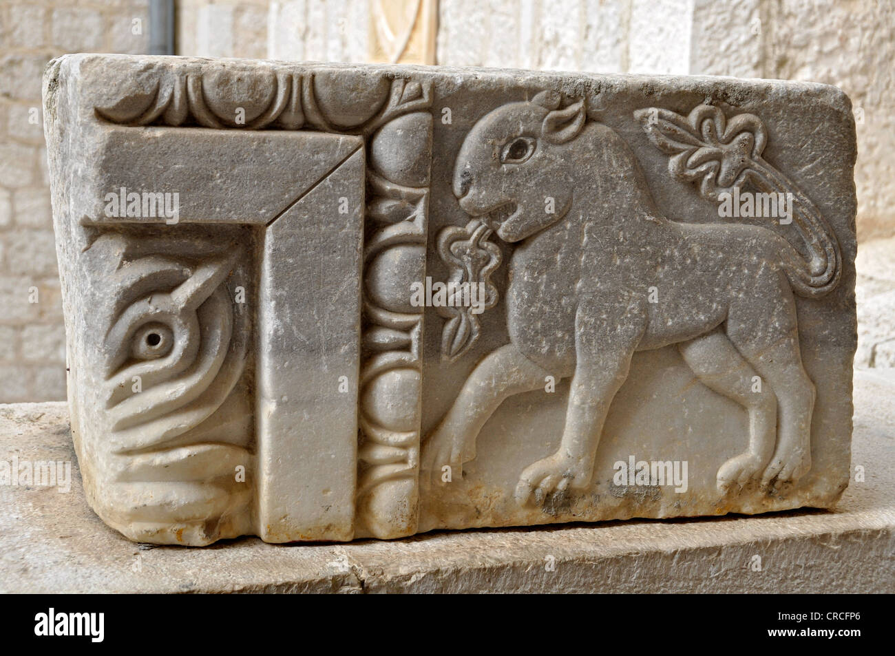 Lastra di roccia con un rilievo etrusco, animale motif, Museo dell'abbazia benedettina di Montecassino, Monte Cassino, Cassino Foto Stock