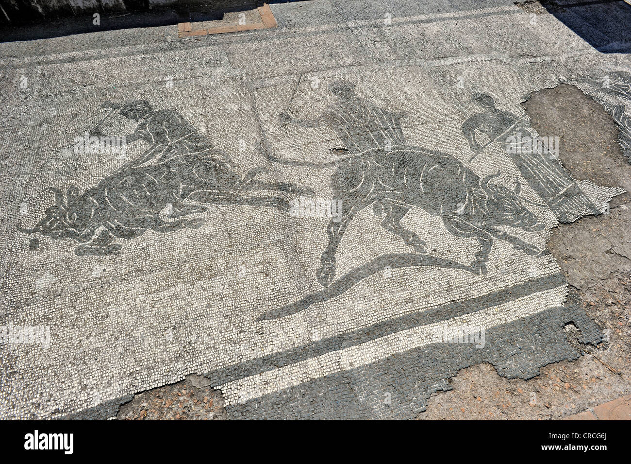 Mosaici in rovine della caserma di polizia della Caserma dei Vigili di Ostia Antica sito archeologico, antico porto della città di Roma Foto Stock