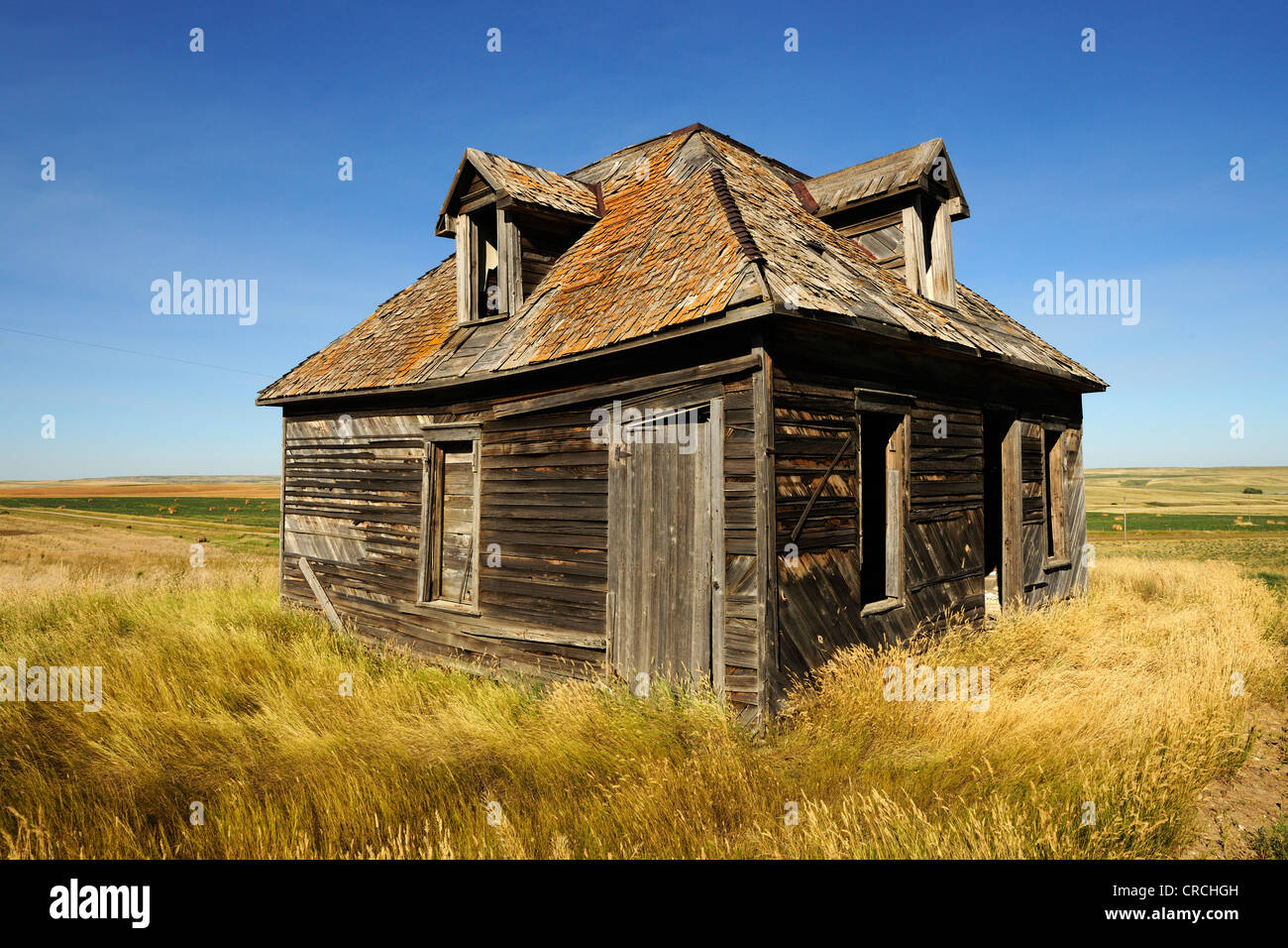 Casa diroccata nella prateria, Saskatchewan, Canada Foto Stock