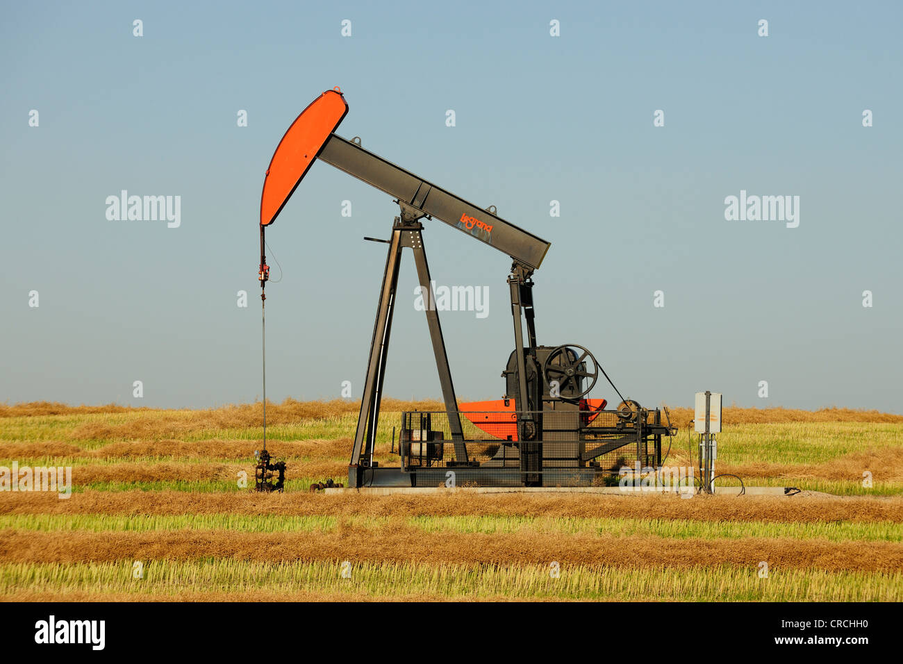 Pompa olio la produzione di olio nella prateria, Saskatchewan, Canada Foto Stock