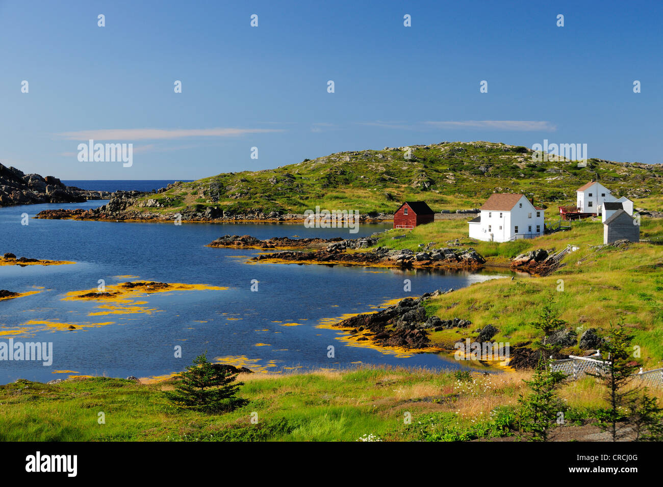 Case di pescatori in un paesaggio del fiordo, vicino Twillingate, Terranova, Canada, America del Nord Foto Stock