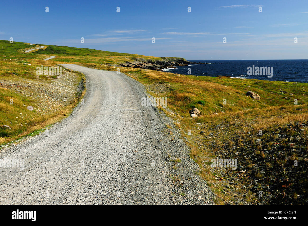 Strada costiera di Cape Race, Avalon Penisola, Terranova, Canada, America del Nord Foto Stock