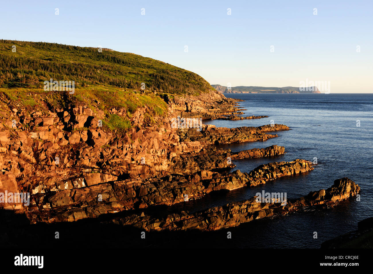 Costa rocciosa a Cape Spear, il punto più orientale del nord del continente americano, Terranova, Canada, America del Nord Foto Stock