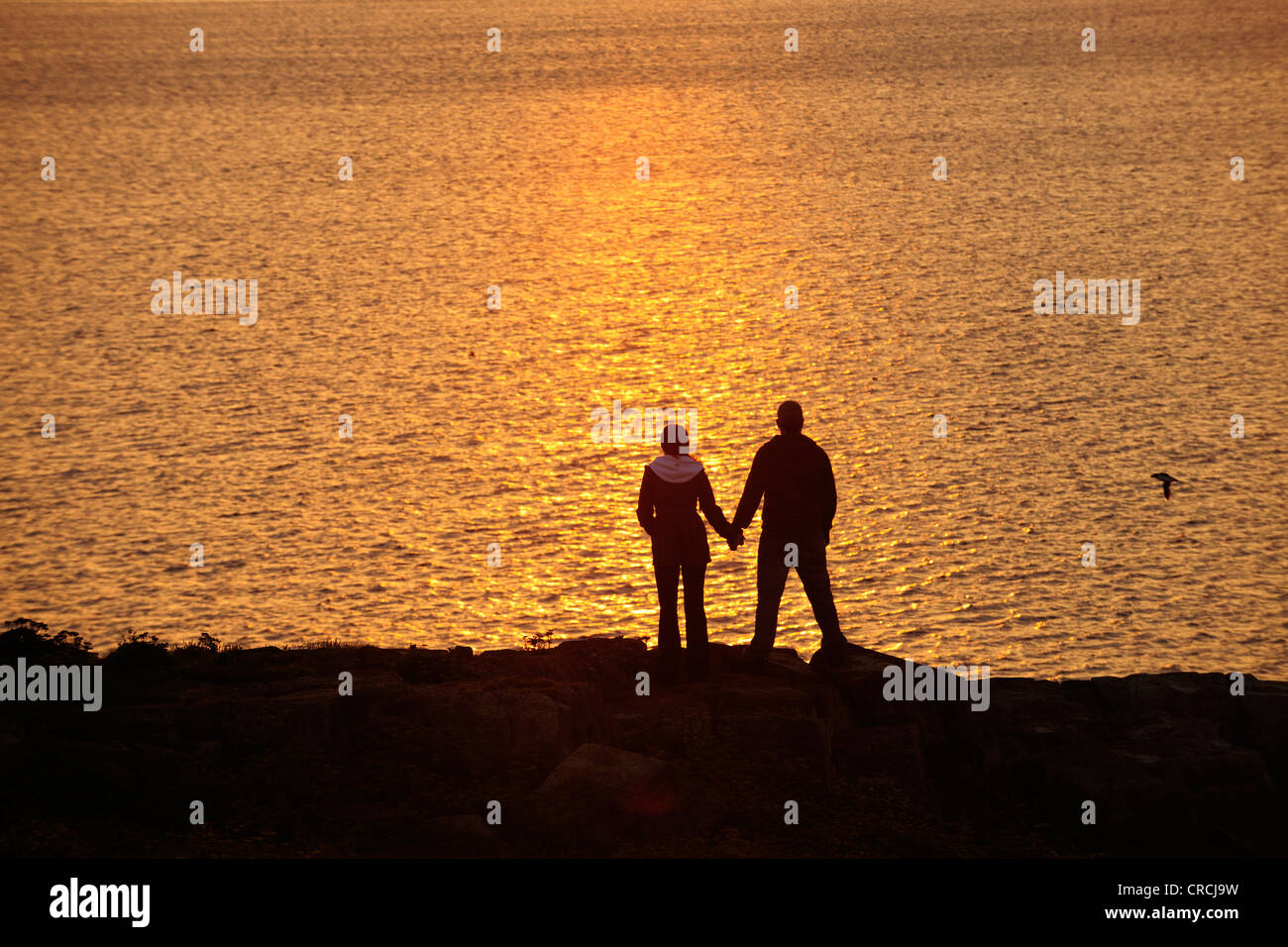 Giovane guardando fuori sull'Atlantico al tramonto, vicino a Capo Bonavista, Terranova, Canada, America del Nord Foto Stock