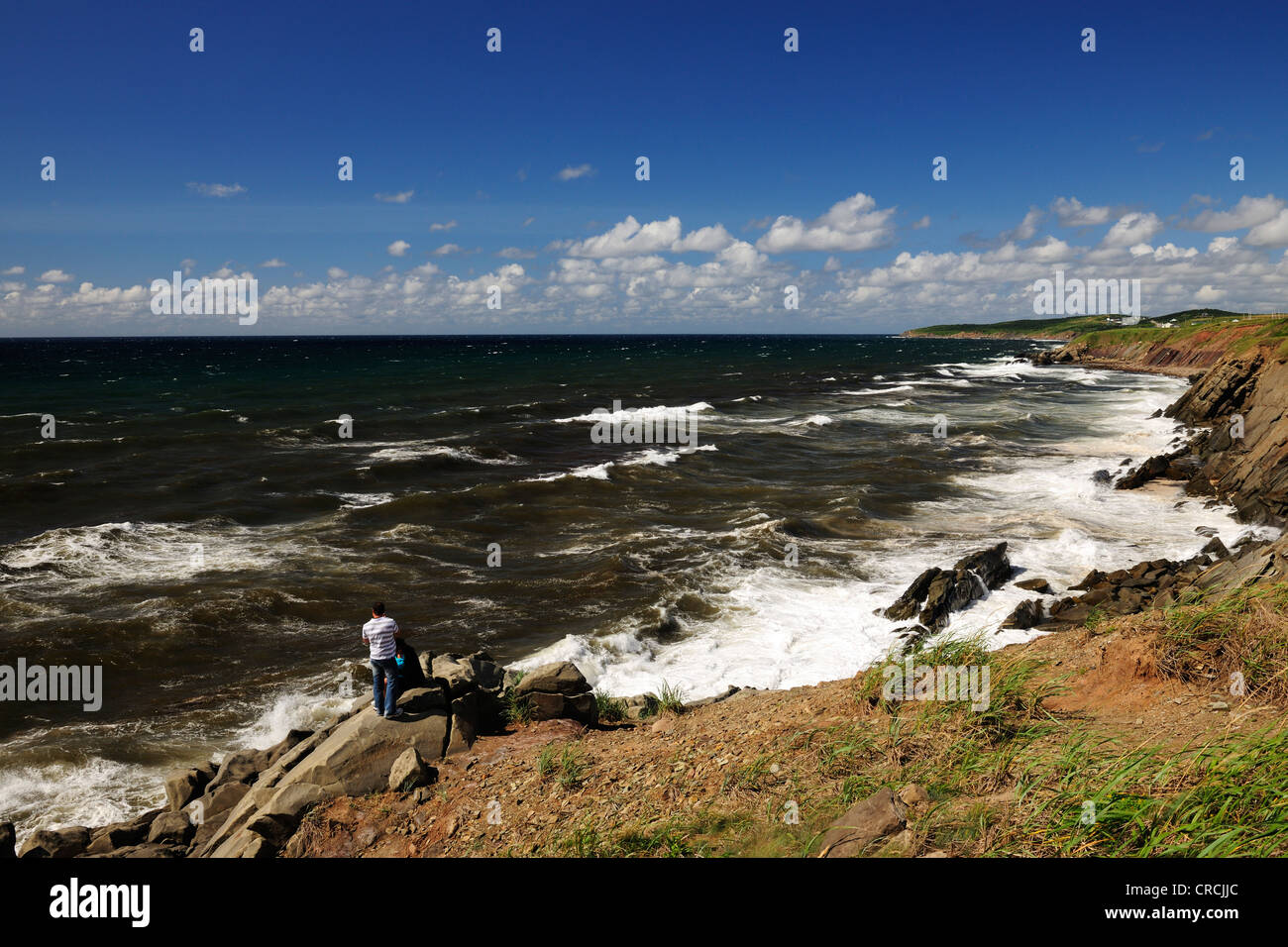 Rocciosa costa atlantica ad ovest di Cape Breton, Nova Scotia, Canada, America del Nord Foto Stock