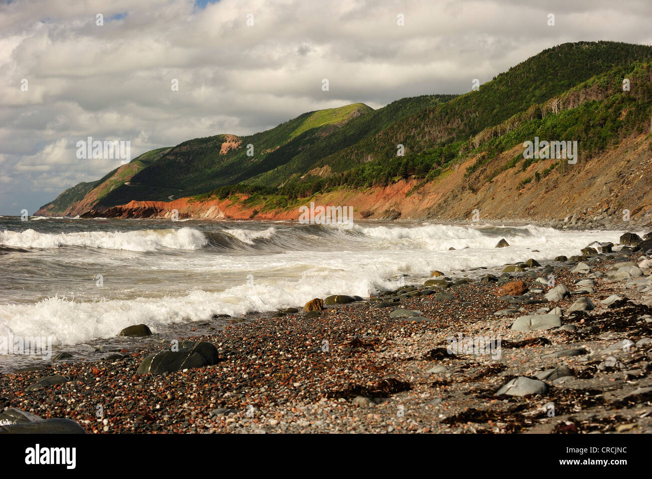 Costa a la strada costiera Cabot Trail in Cape Breton National Park, Nova Scotia, Canada, America del Nord Foto Stock