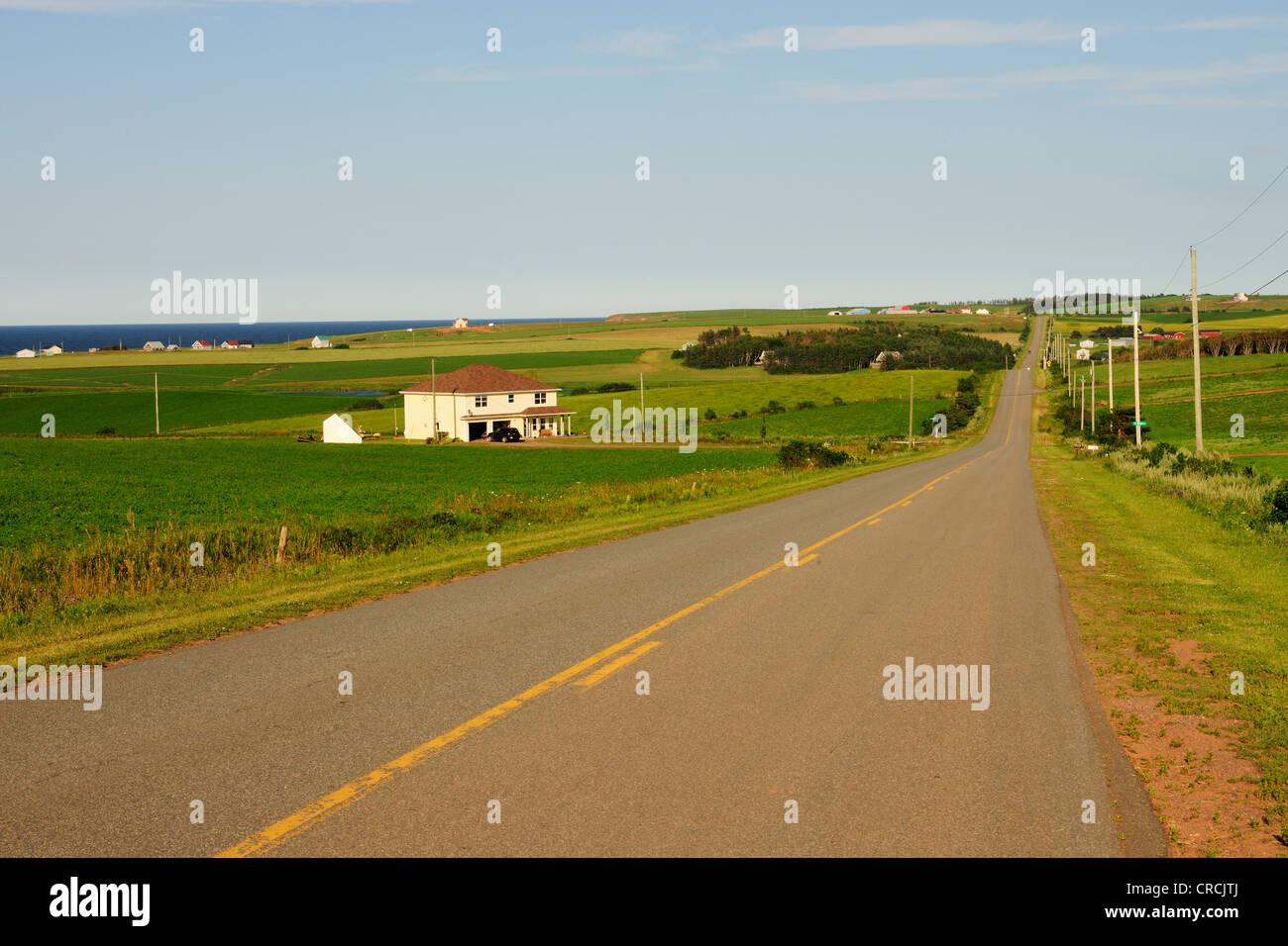 La verde isola nell'Oceano Atlantico, costa atlantica ad ovest di Cavendish, Prince Edward Island, Canada Foto Stock