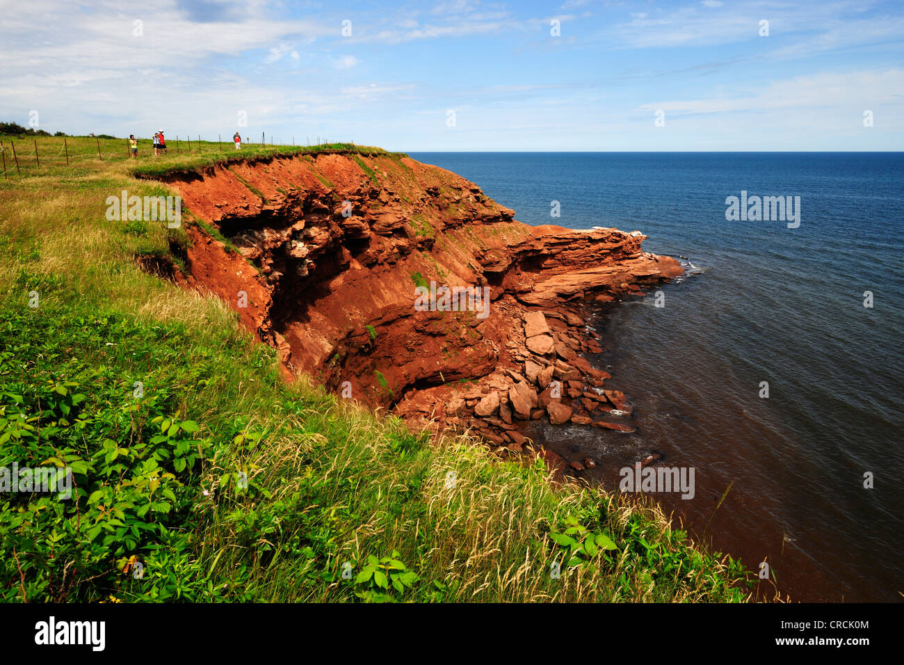 Rosso scogliere di arenaria in Prince Edward Island National Park, Prince Edward Island, Canada, America del Nord Foto Stock