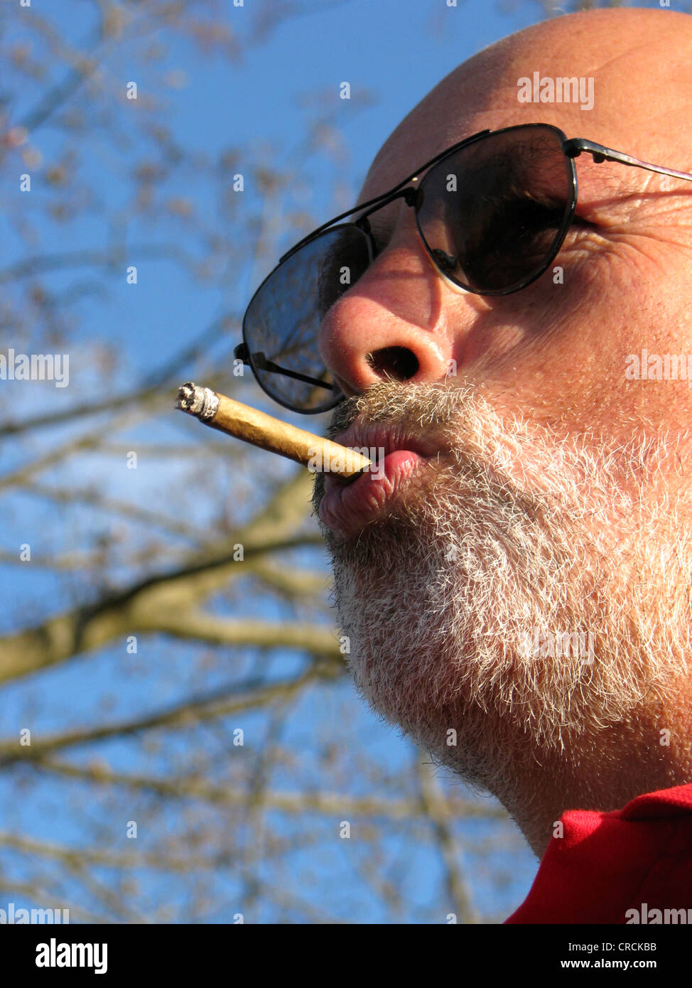 Uomo Barbuto con occhiali da sole fuma sigaretto, Germania Foto stock -  Alamy