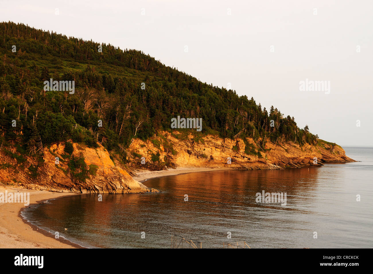 Costa, Forillon National Park, Gaspésie o penisola di Gaspé, Quebec, Canada Foto Stock