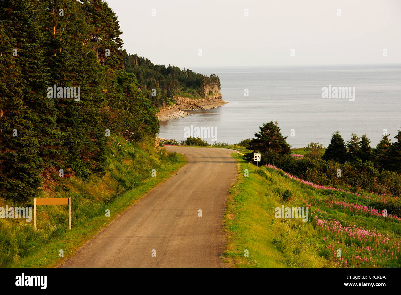 Strada costiera, Forillon National Park, Gaspésie o penisola di Gaspé, Quebec, Canada Foto Stock