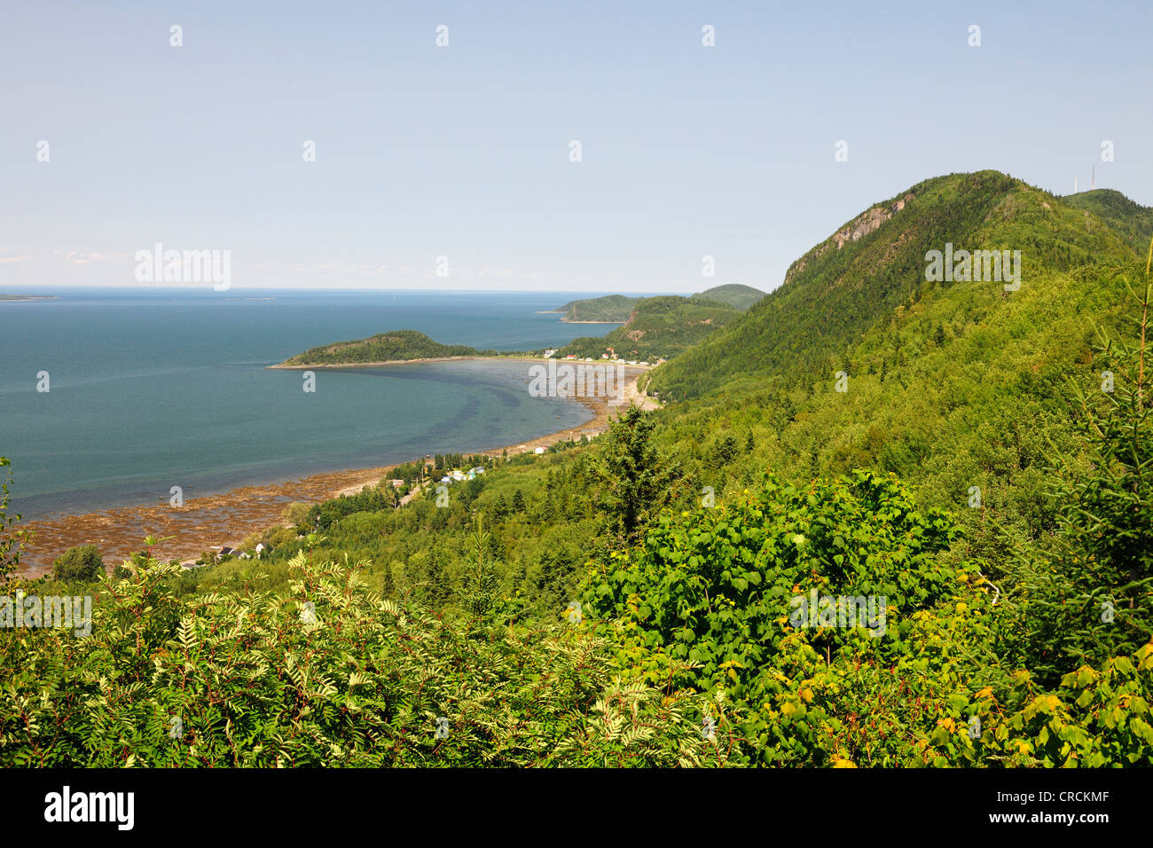Coste lungo il fiume San Lorenzo, Gaspe Peninsula, Gaspésie, Quebec, Canada Foto Stock