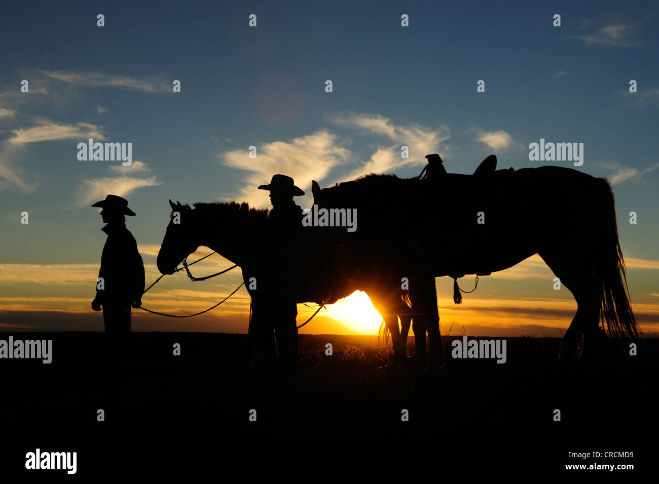 Un cowgirl e un cowboy standing accanto ai loro cavalli al tramonto, Saskatchewan, Canada Foto Stock