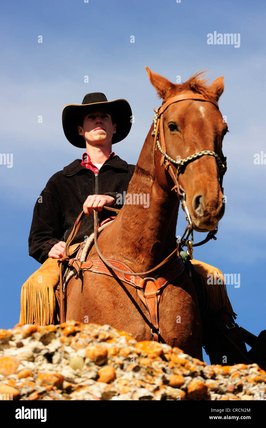 Cowboy a cavallo guardando in lontananza, Saskatchewan, Canada, America del Nord Foto Stock