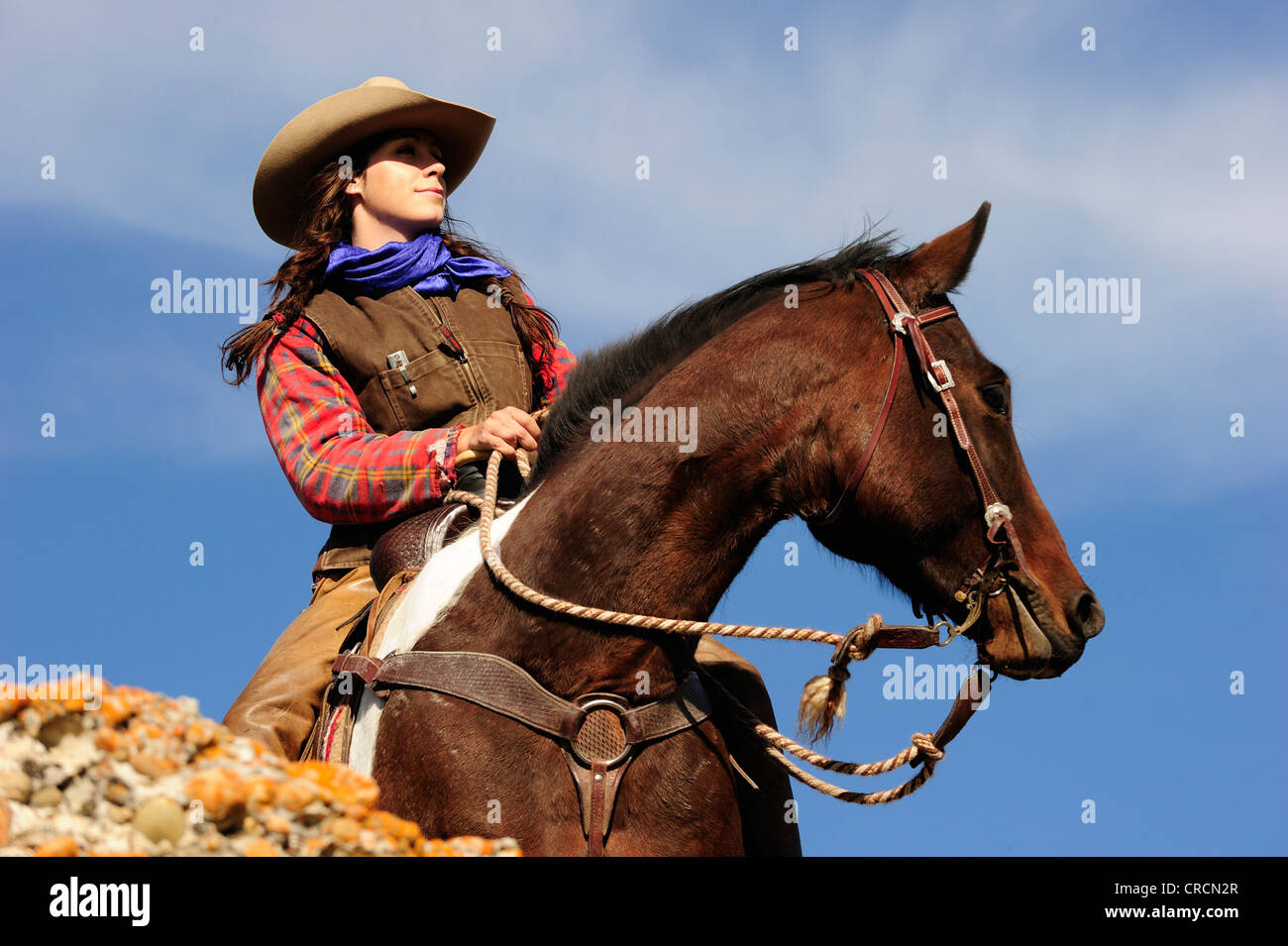Cowgirl su un cavallo guardando in lontananza, Saskatchewan, Canada, America del Nord Foto Stock