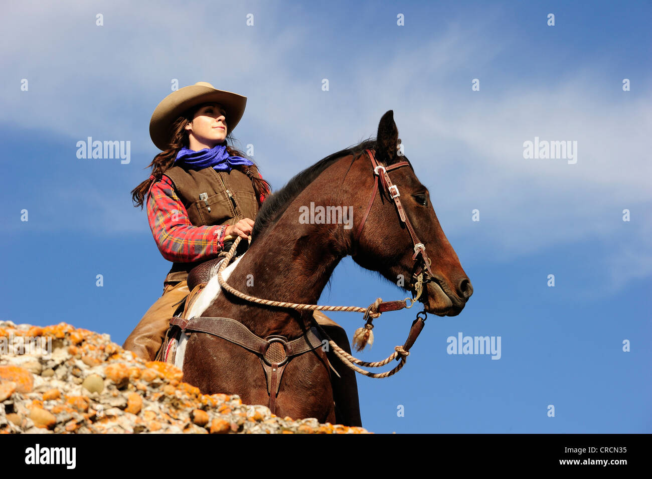 Cowgirl su un cavallo guardando in lontananza, Saskatchewan, Canada, America del Nord Foto Stock