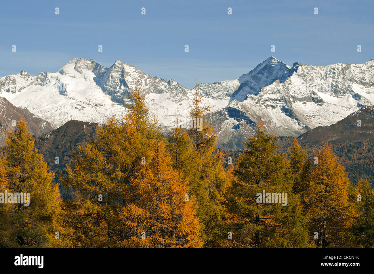 Laerchenwiesen ai prati di larici, di fronte all'Olperer, Fussstein, Schrammacher, Vinaders Obernberg e montagne, Tirolo, Austria Foto Stock