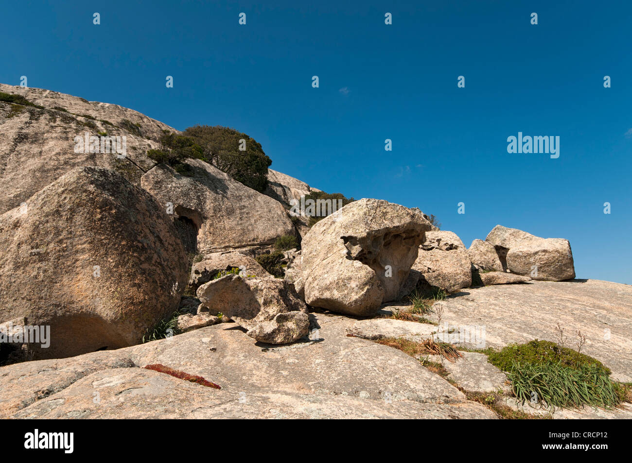 Le formazioni rocciose nelle montagne di Aggius, Aggius, Sardegna, Italia, Europa Foto Stock