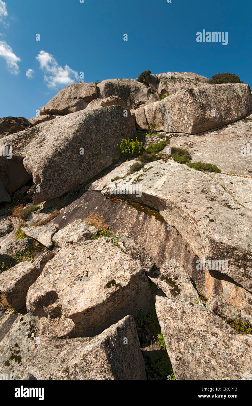 Le formazioni rocciose nelle montagne di Aggius, Aggius, Sardegna, Italia, Europa Foto Stock