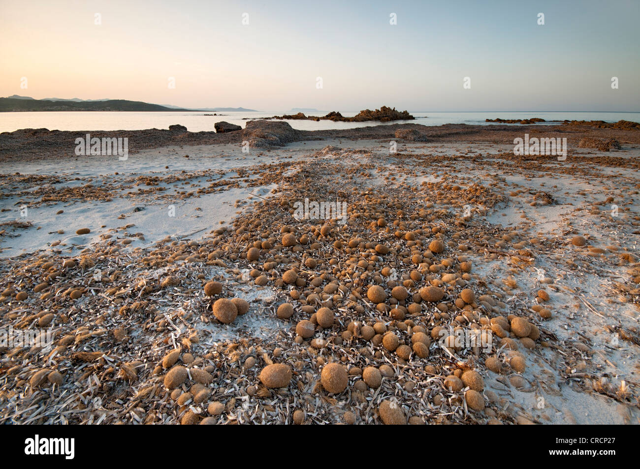 Spiaggia di Capo Comino con sfere di mare, Siniscola, nella costa occidentale della Sardegna, Italia, Europa Foto Stock
