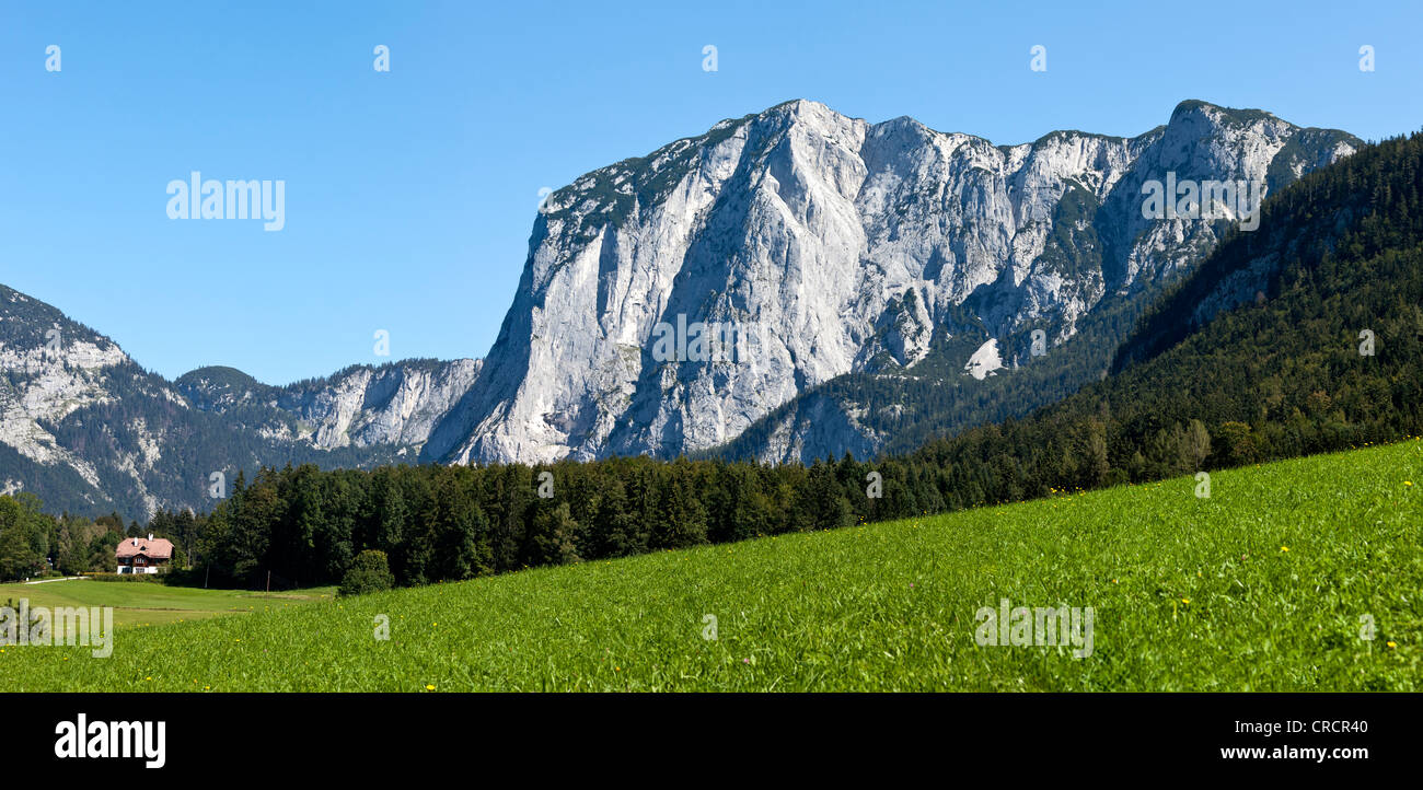 Fioritura verde pascolo alpino di fronte montagne scoscese, Tressensattel gap, Altaussee, Salzkammergut, Austria, Europa Foto Stock